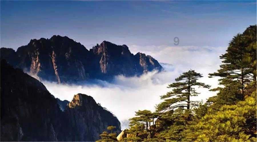 联想高管:摩托罗拉3年将成全球前三 以薪水打赌